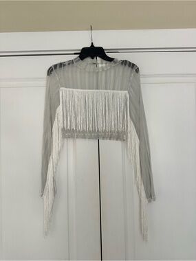 Sheer Long-Sleeve Festival Fringe Crop Top - silver